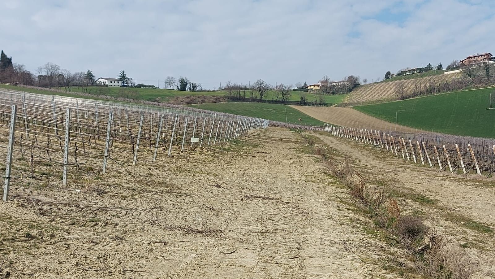 Terreno Agricolo Riolo Terme 