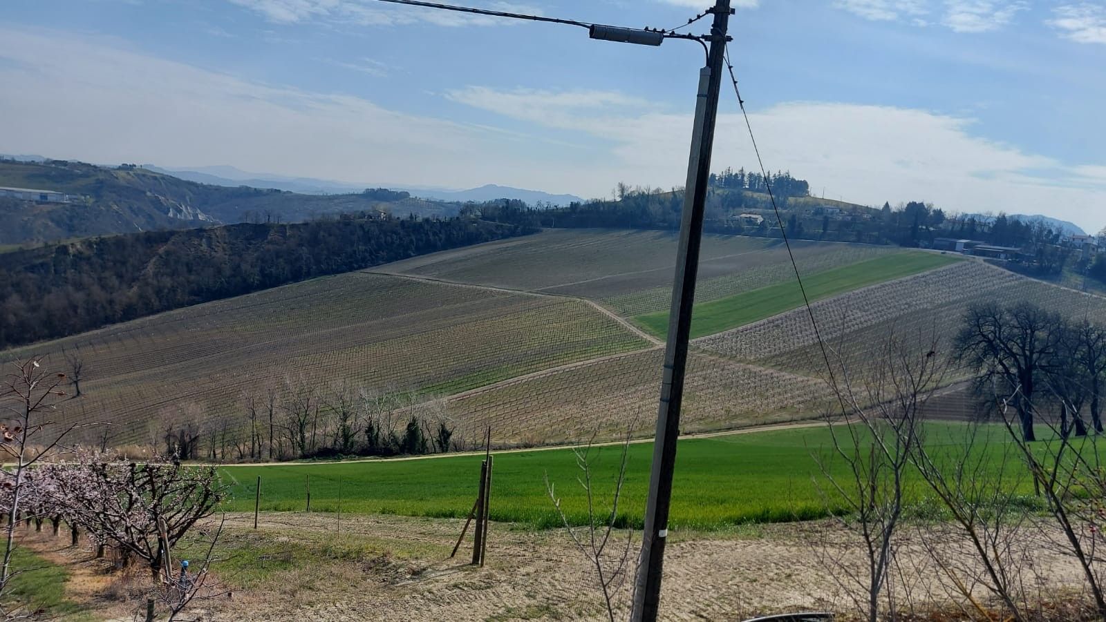 Terreno Agricolo Riolo Terme 