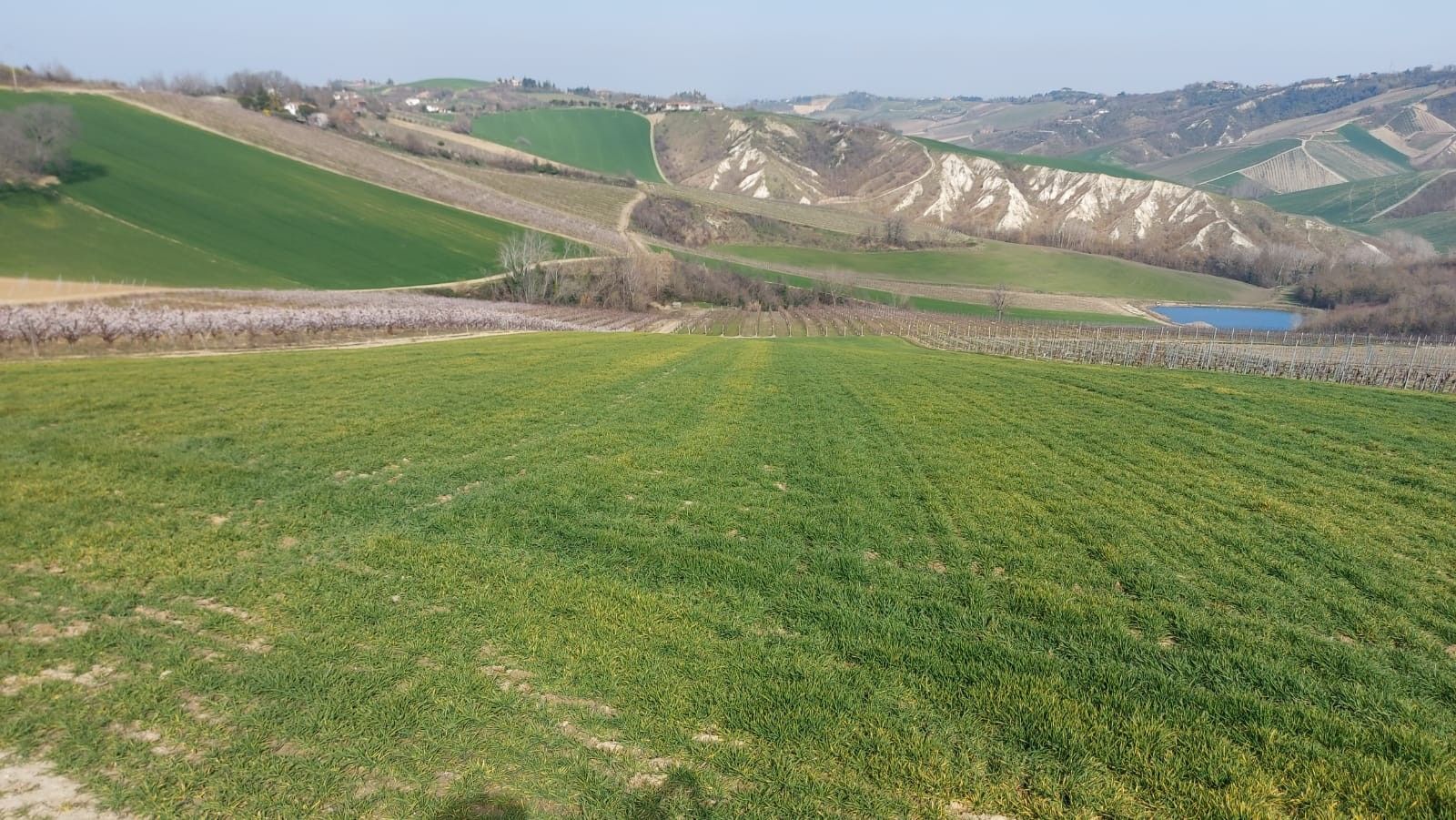 Terreno Agricolo Riolo Terme 