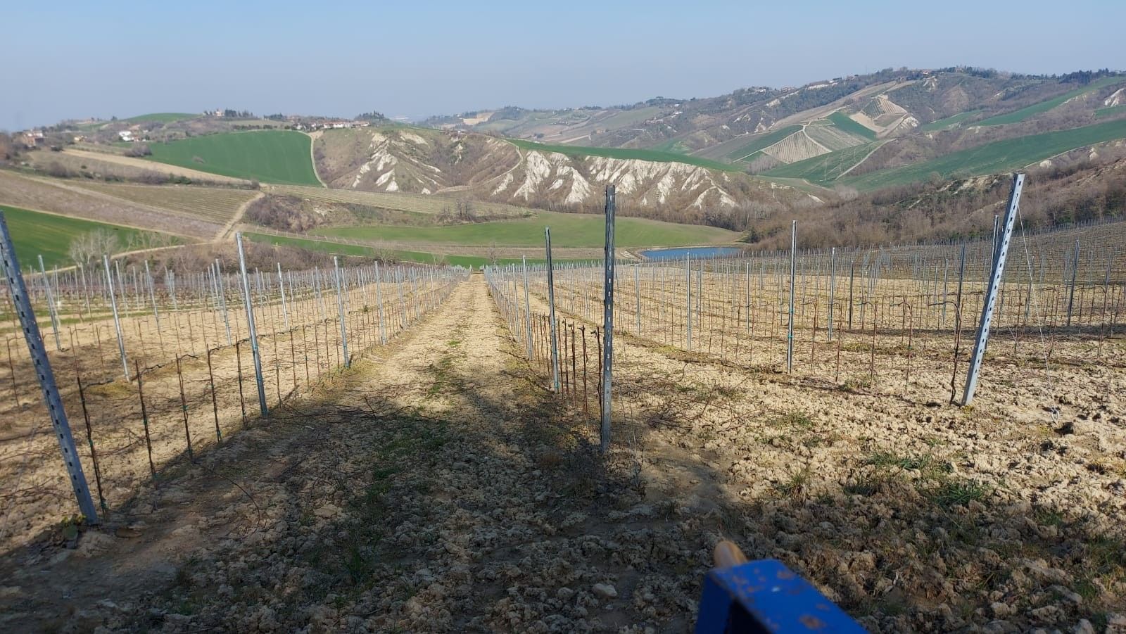 Terreno Agricolo Riolo Terme 