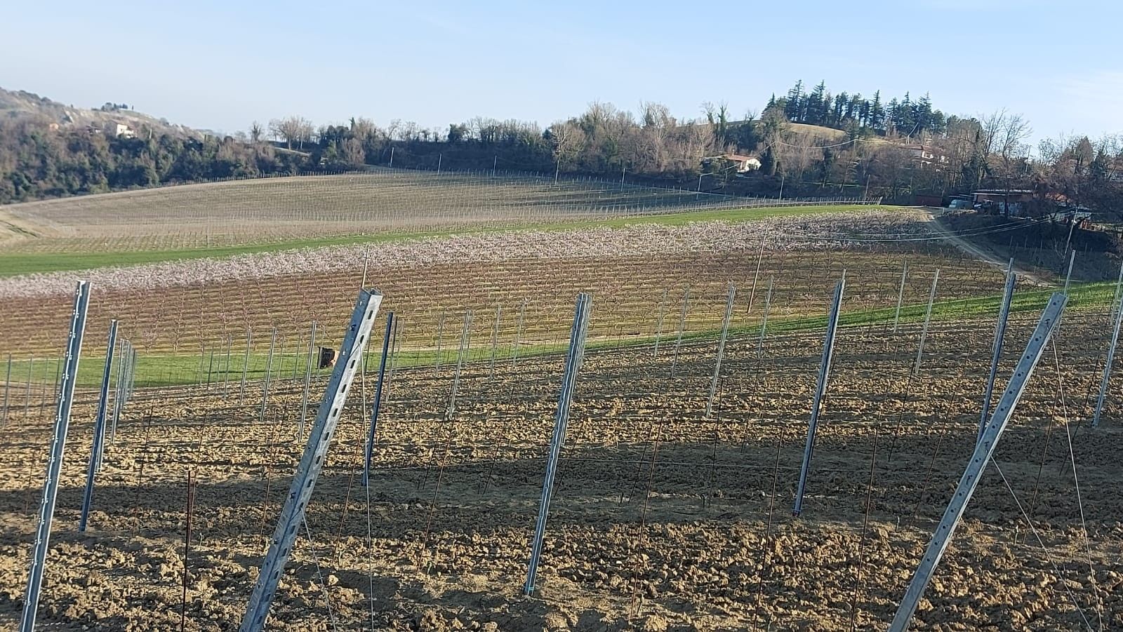Terreno Agricolo Riolo Terme 
