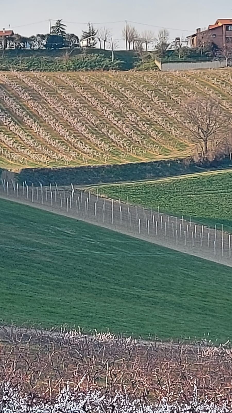 Terreno Agricolo Riolo Terme 