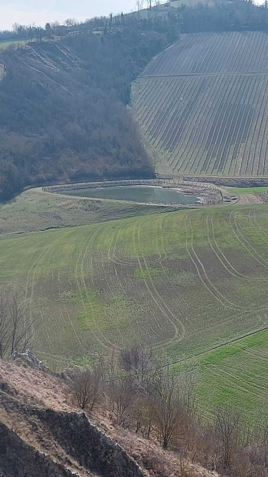 Terreno Agricolo Riolo Terme 