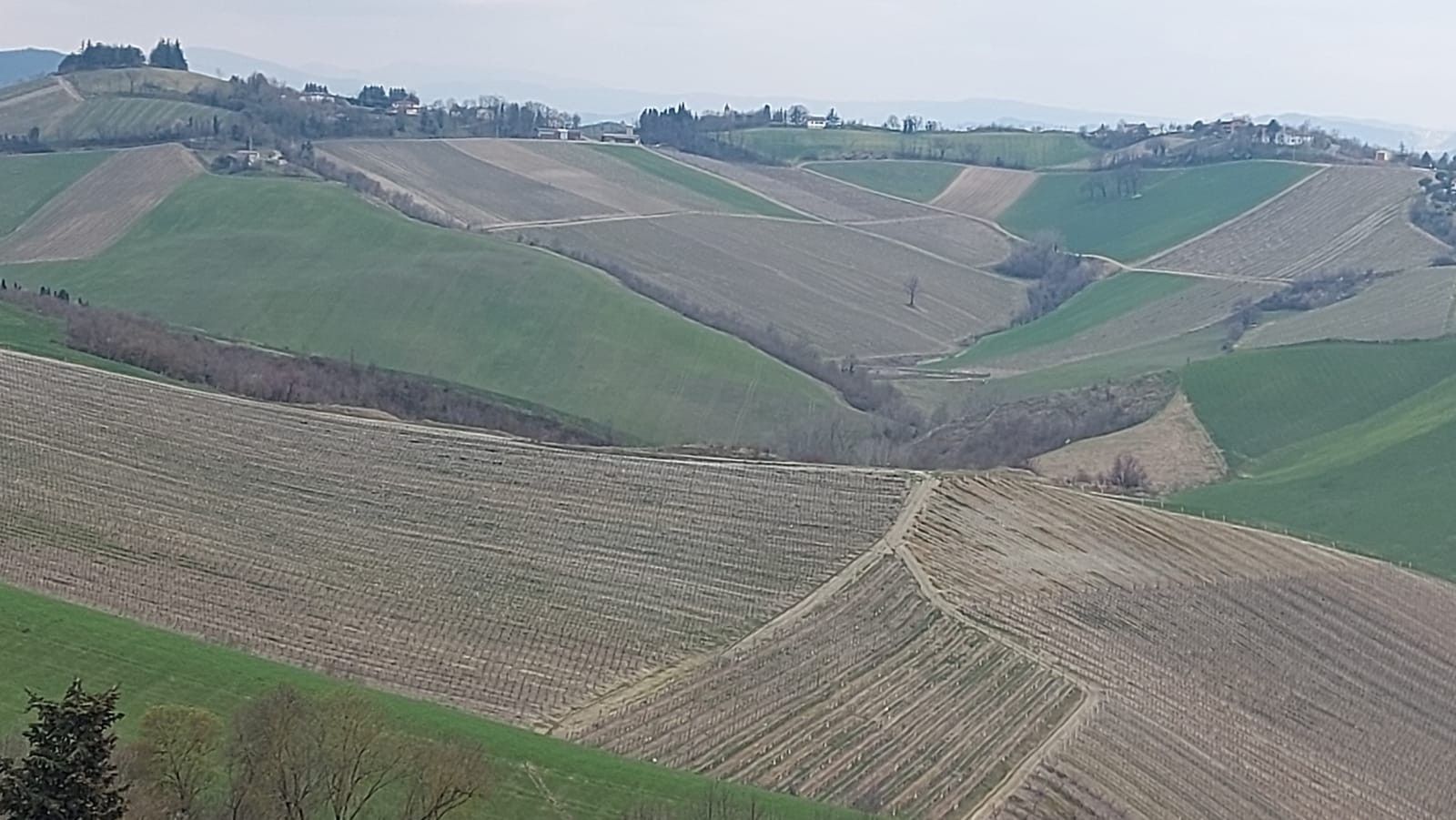 Terreno Agricolo Riolo Terme 