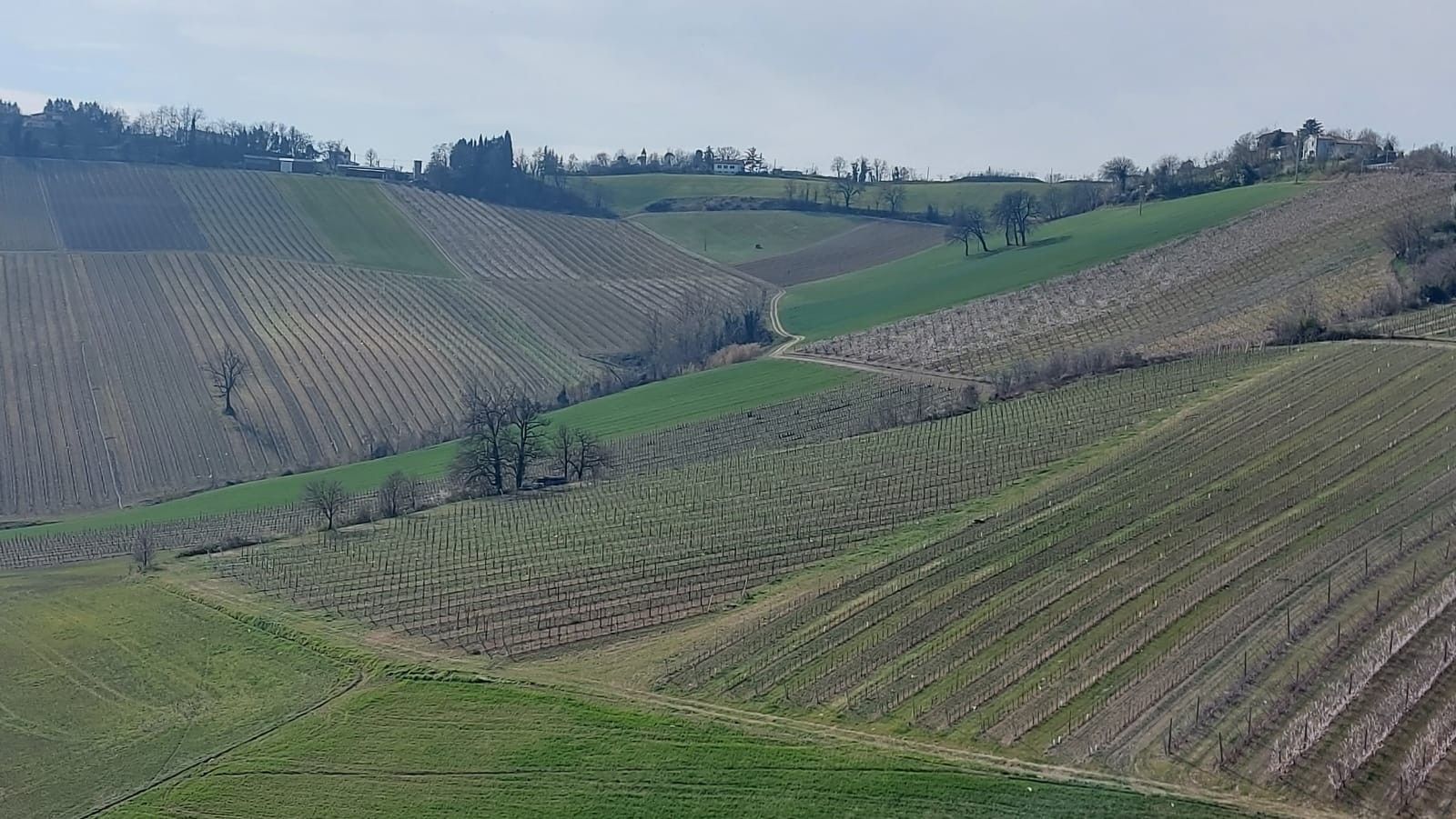 Terreno Agricolo Riolo Terme 