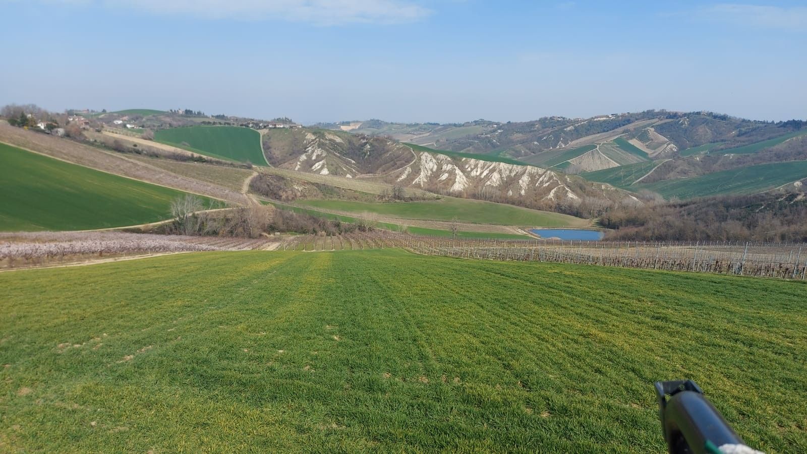 Terreno Agricolo Riolo Terme 