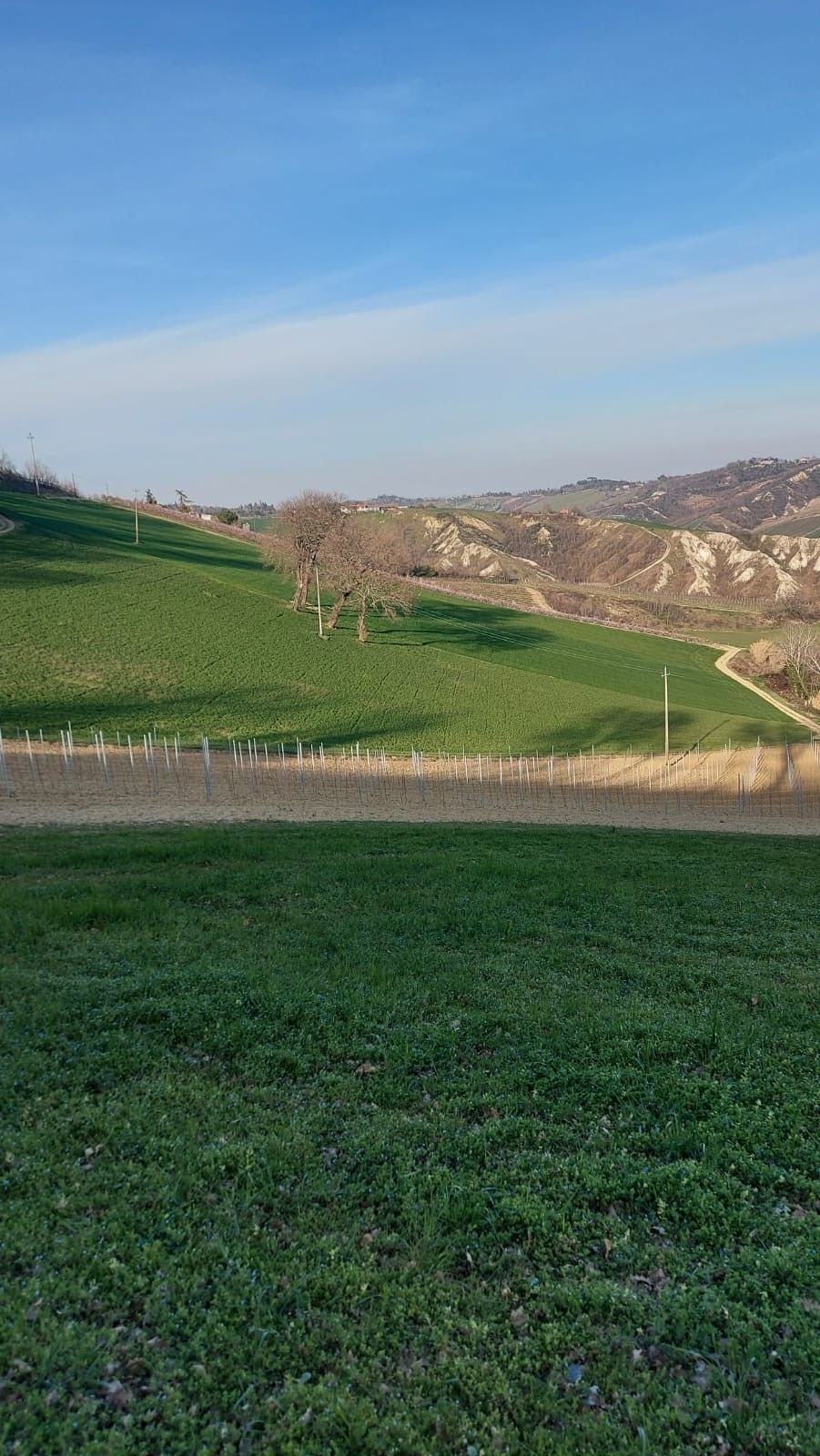 Terreno Agricolo Riolo Terme 