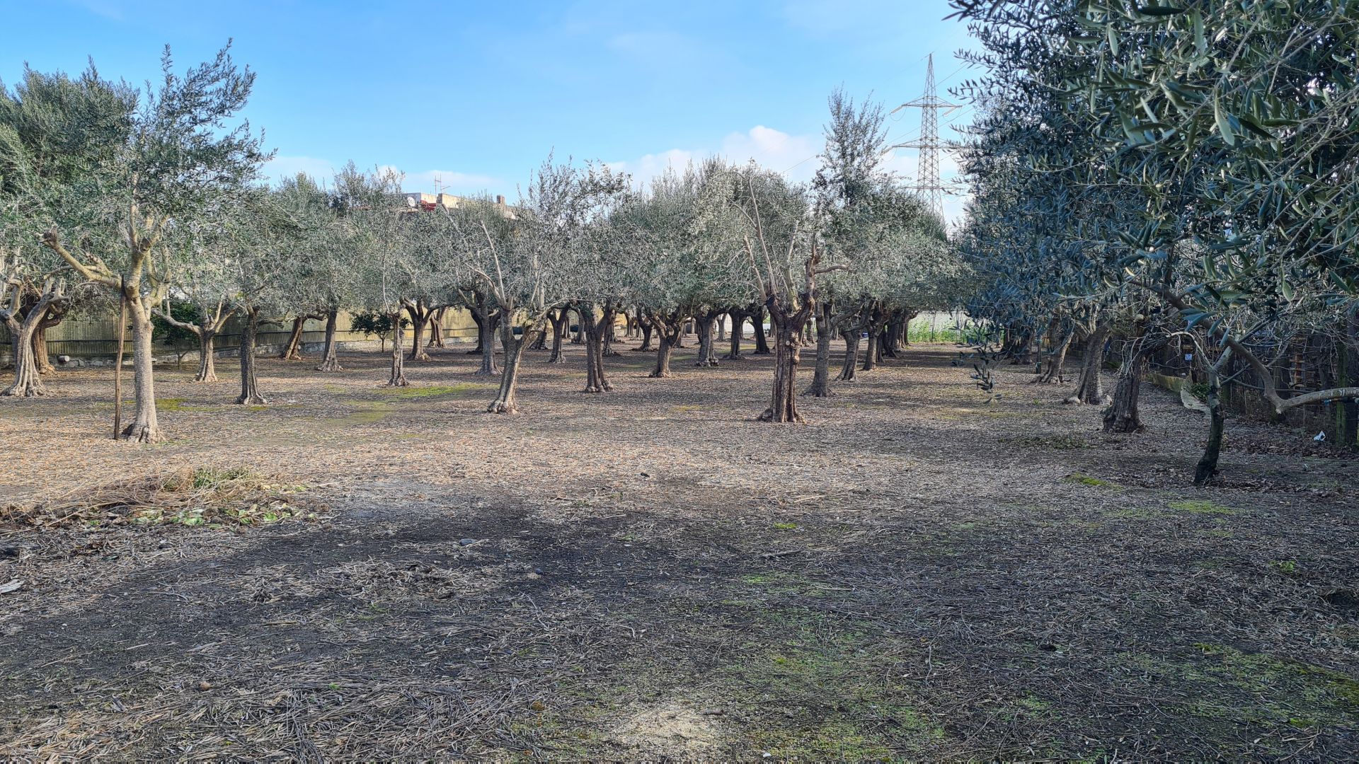 Terreno Agricolo Pompei 