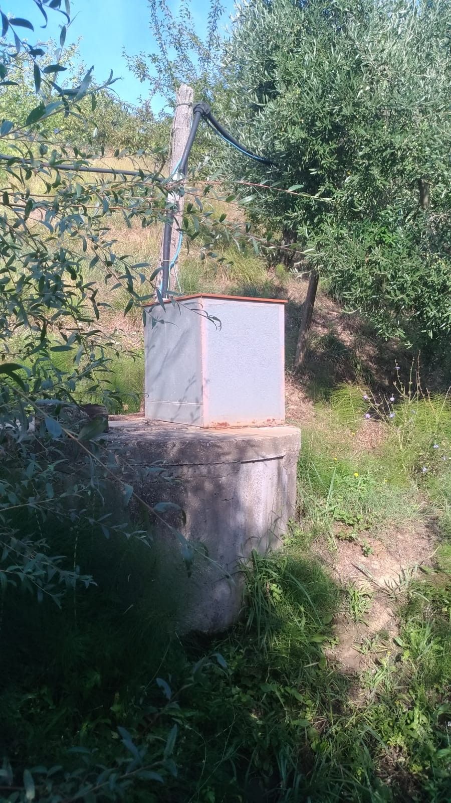 Vendita Terreno Agricolo Casciana Terme