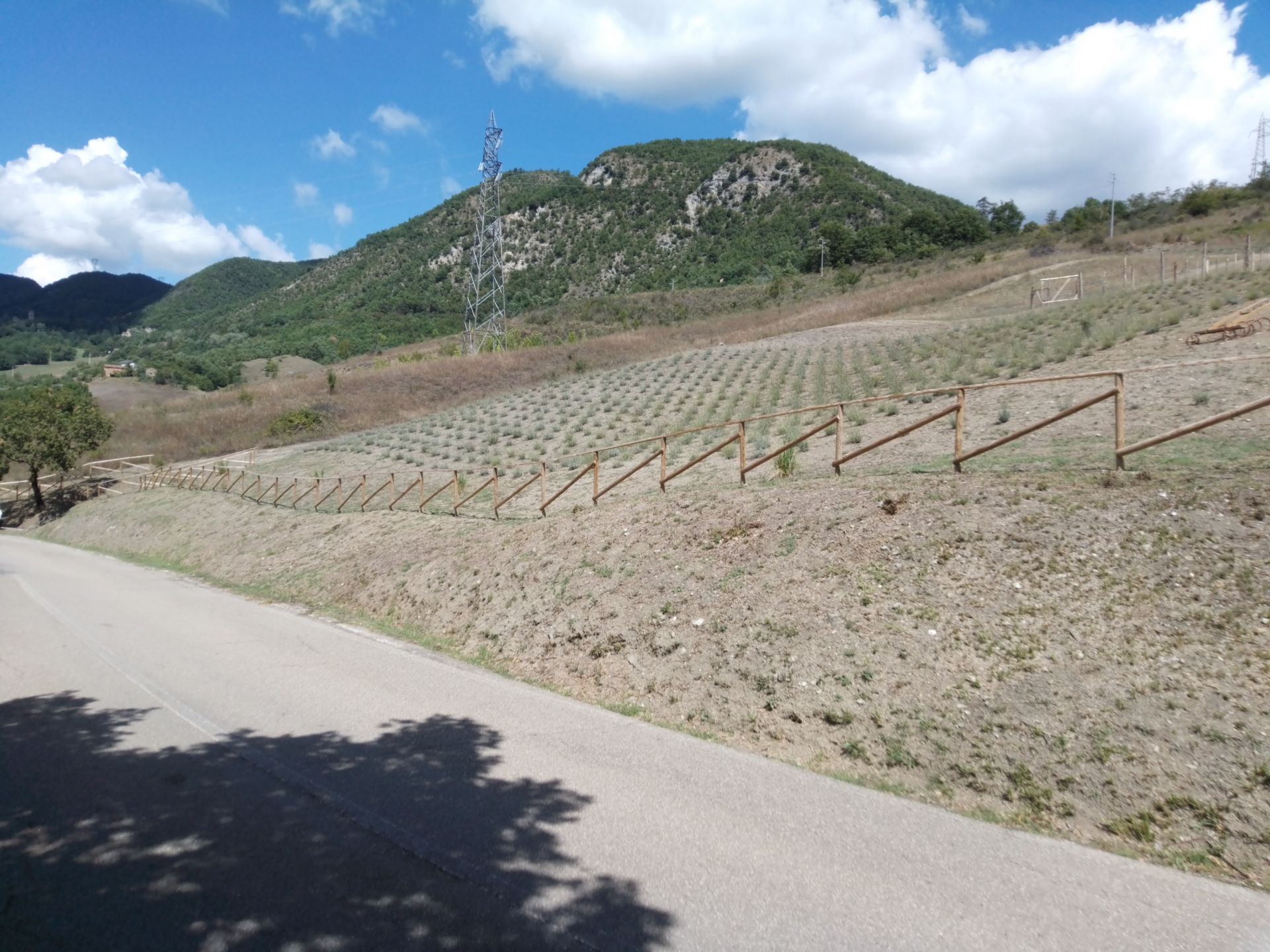 Terreno Agricolo in Vendita Vergato
