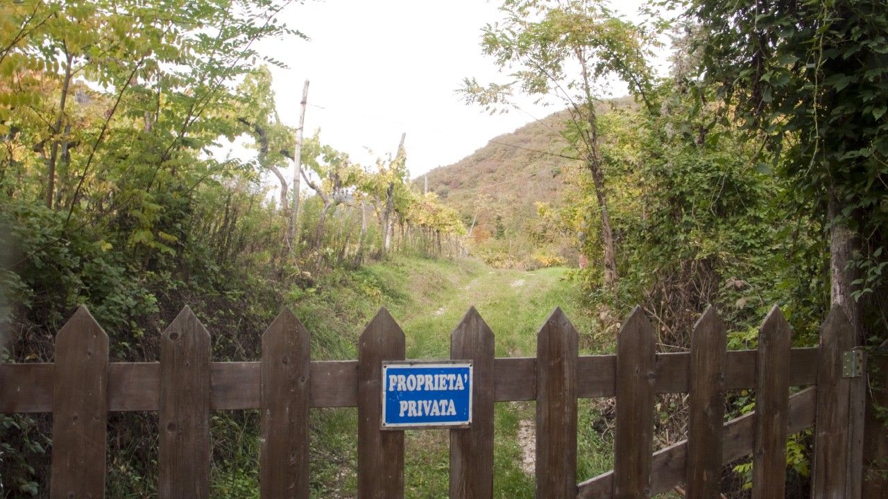 Terreno Agricolo Mezzane di Sotto 