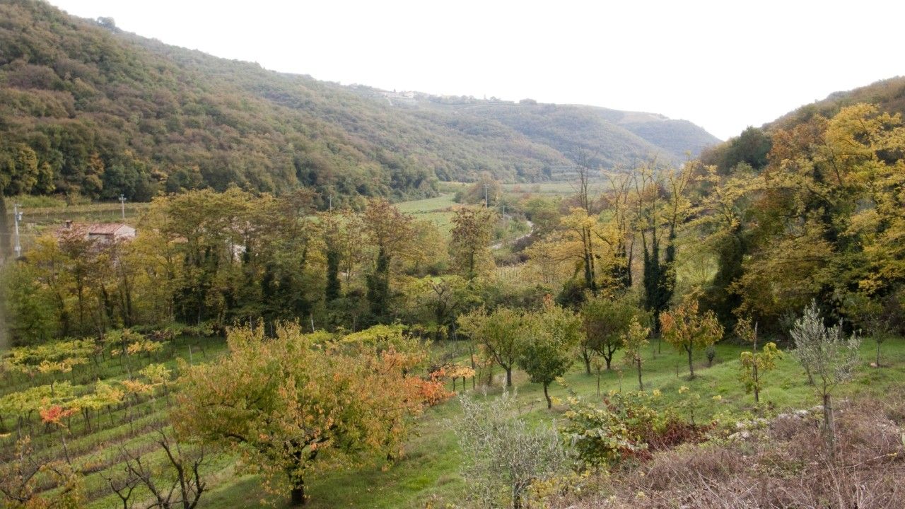 Terreno Agricolo Mezzane di Sotto 