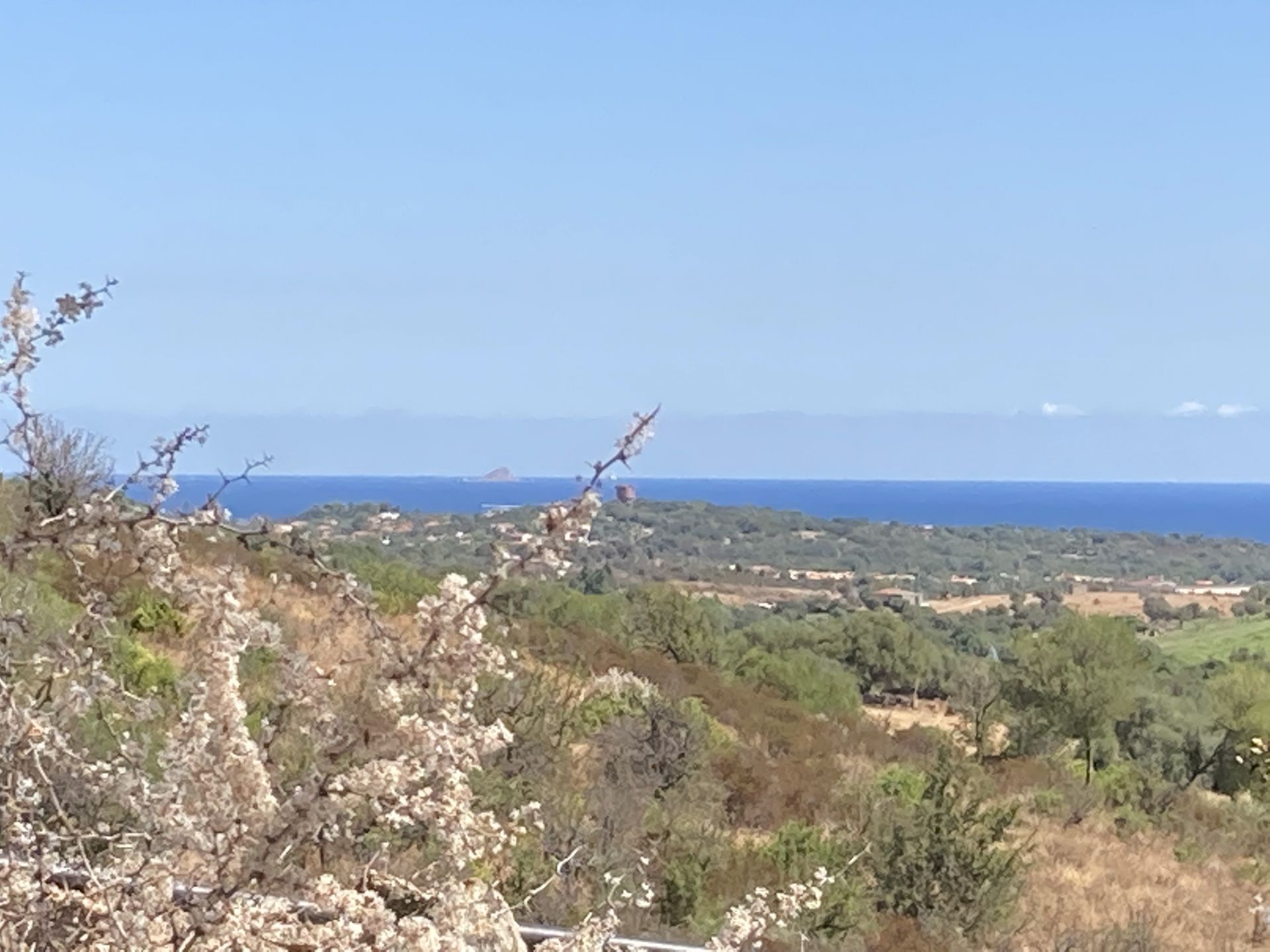 Terreno Agricolo San Teodoro 