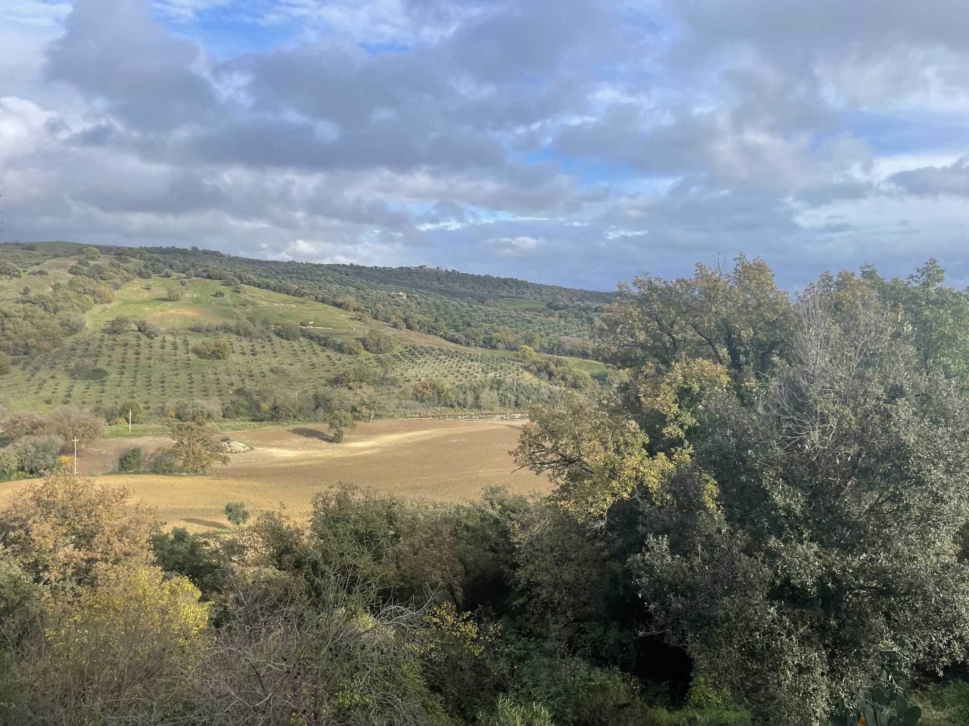 Altro Magliano in Toscana 