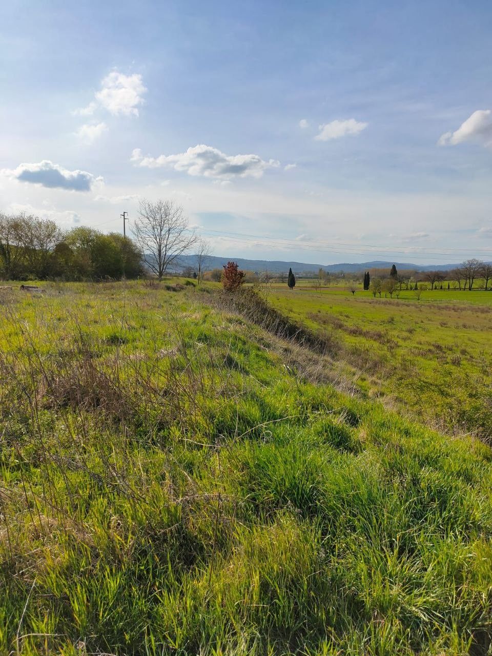 Terreno Agricolo Sinalunga 