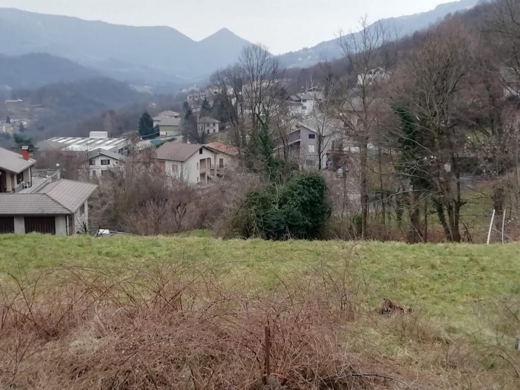 Vendita Terreno edificabile Sant'Omobono Terme