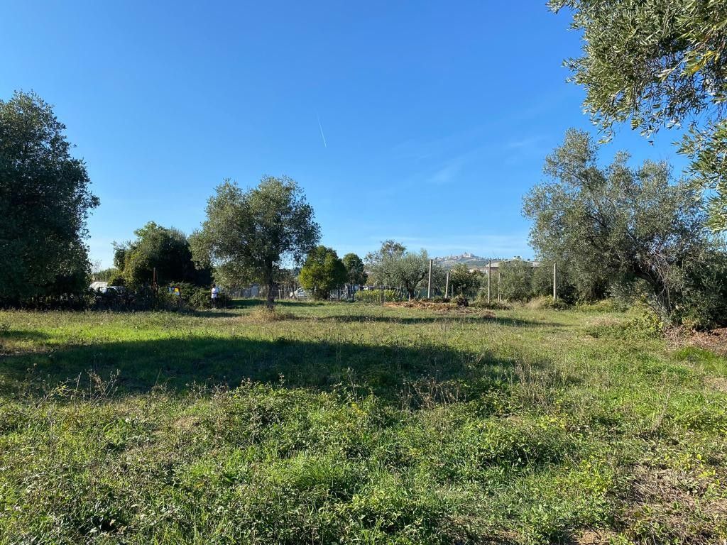 Affitto Terreno Agricolo 