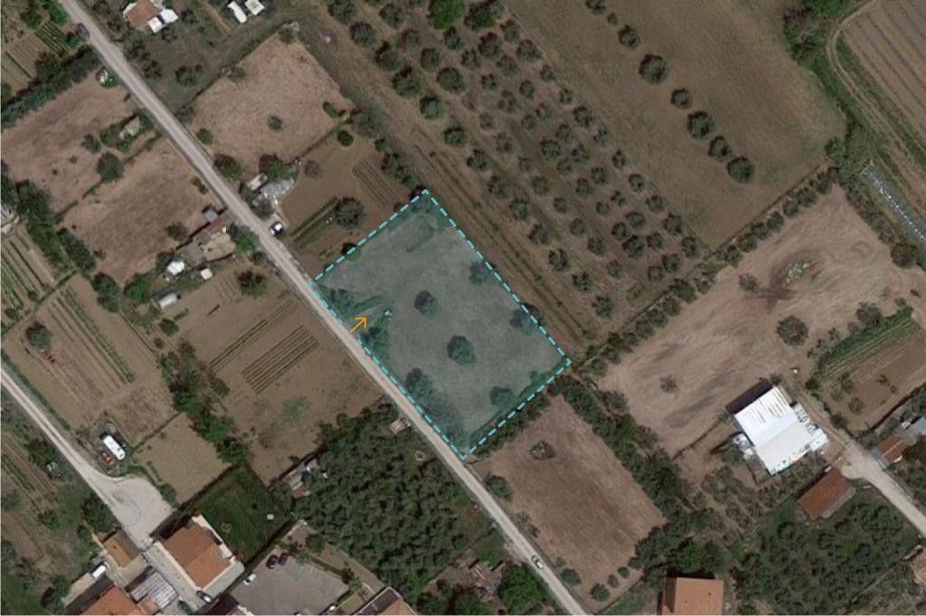 Affitto Terreno Agricolo 