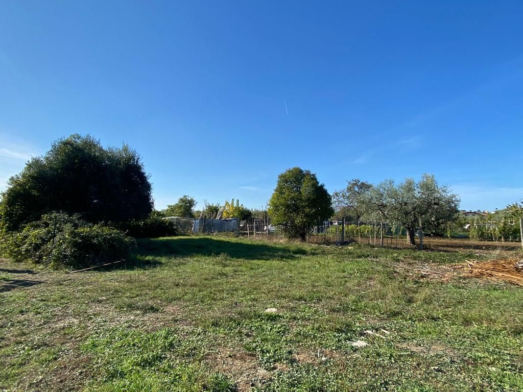Affitto Terreno Agricolo 