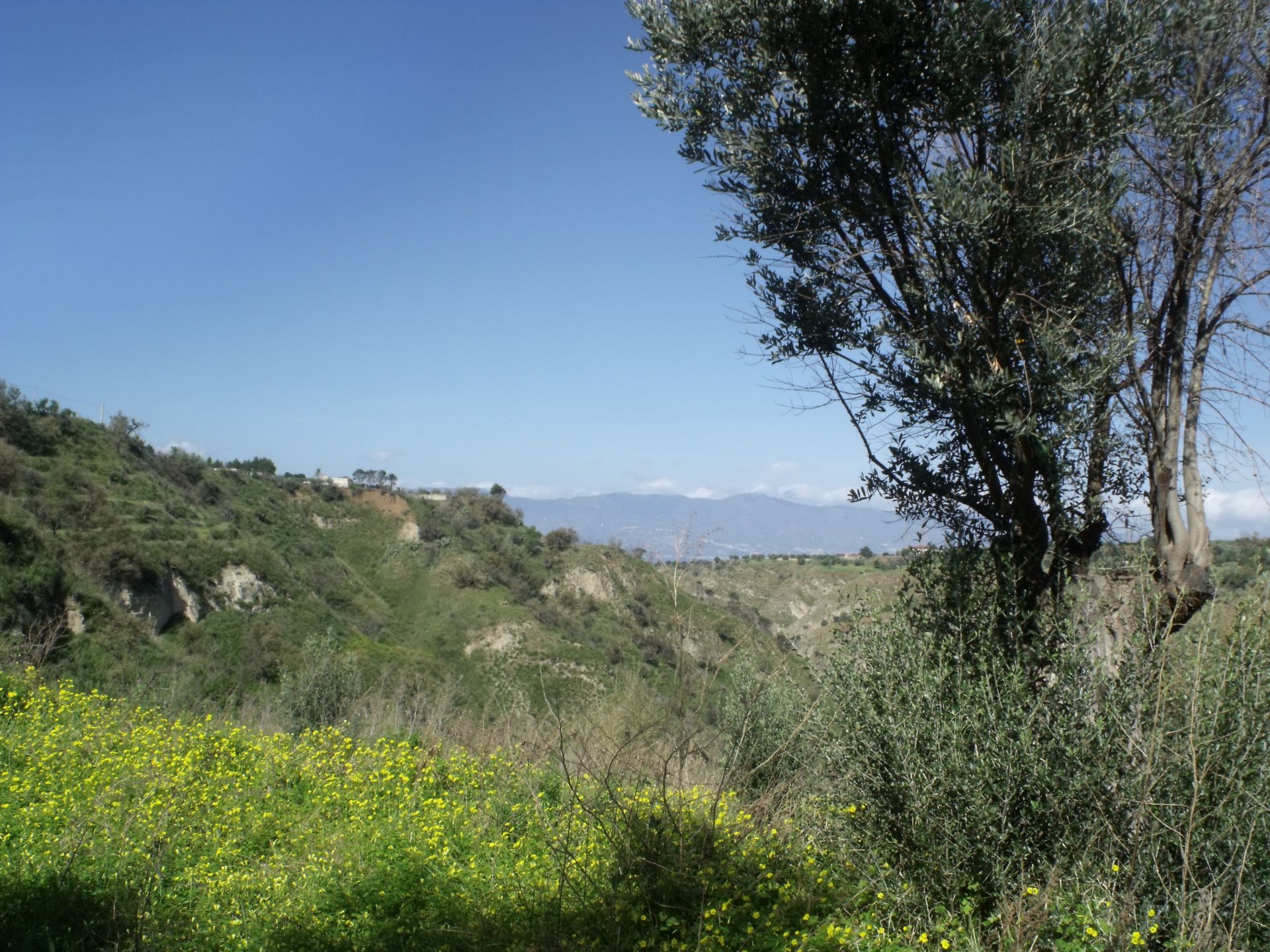 Terreno Agricolo Reggio Calabria 