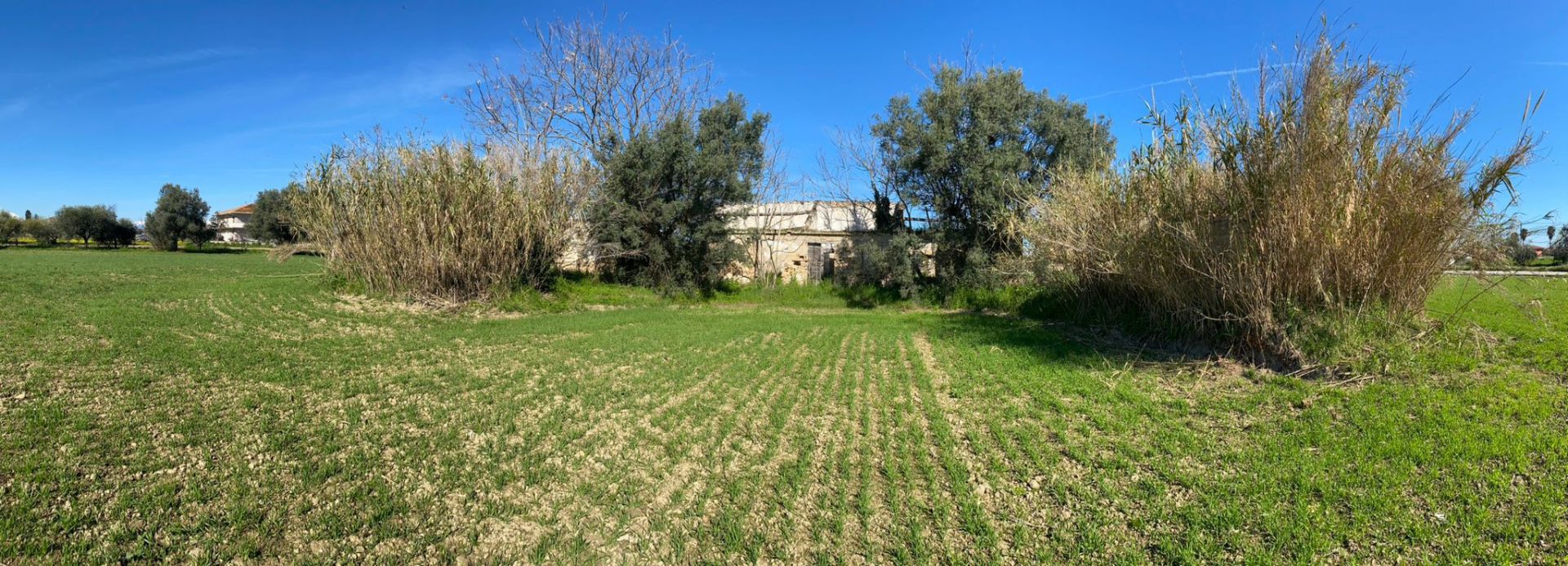 Terreno Agricolo Roseto degli Abruzzi 