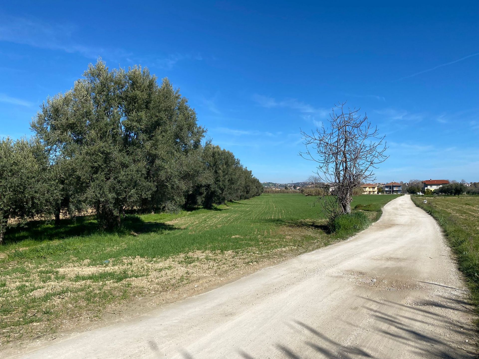 Terreno Agricolo Roseto degli Abruzzi 