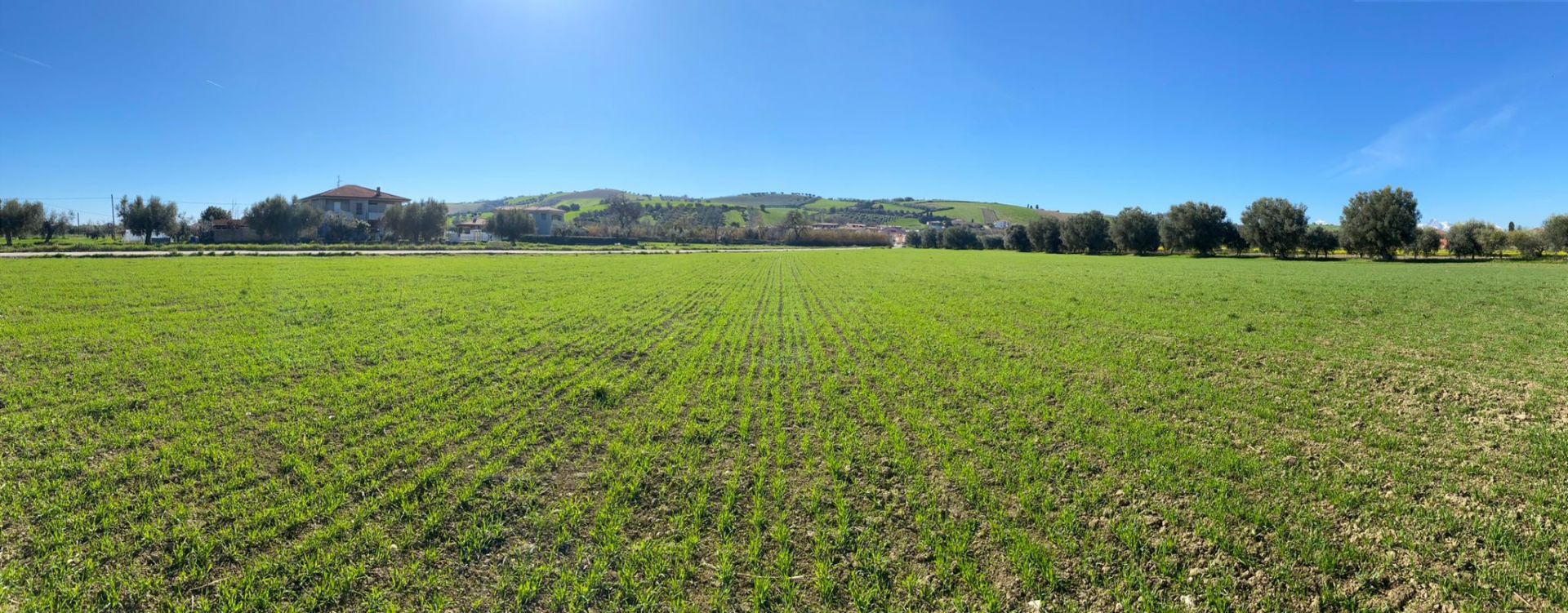 Terreno Agricolo Roseto degli Abruzzi 