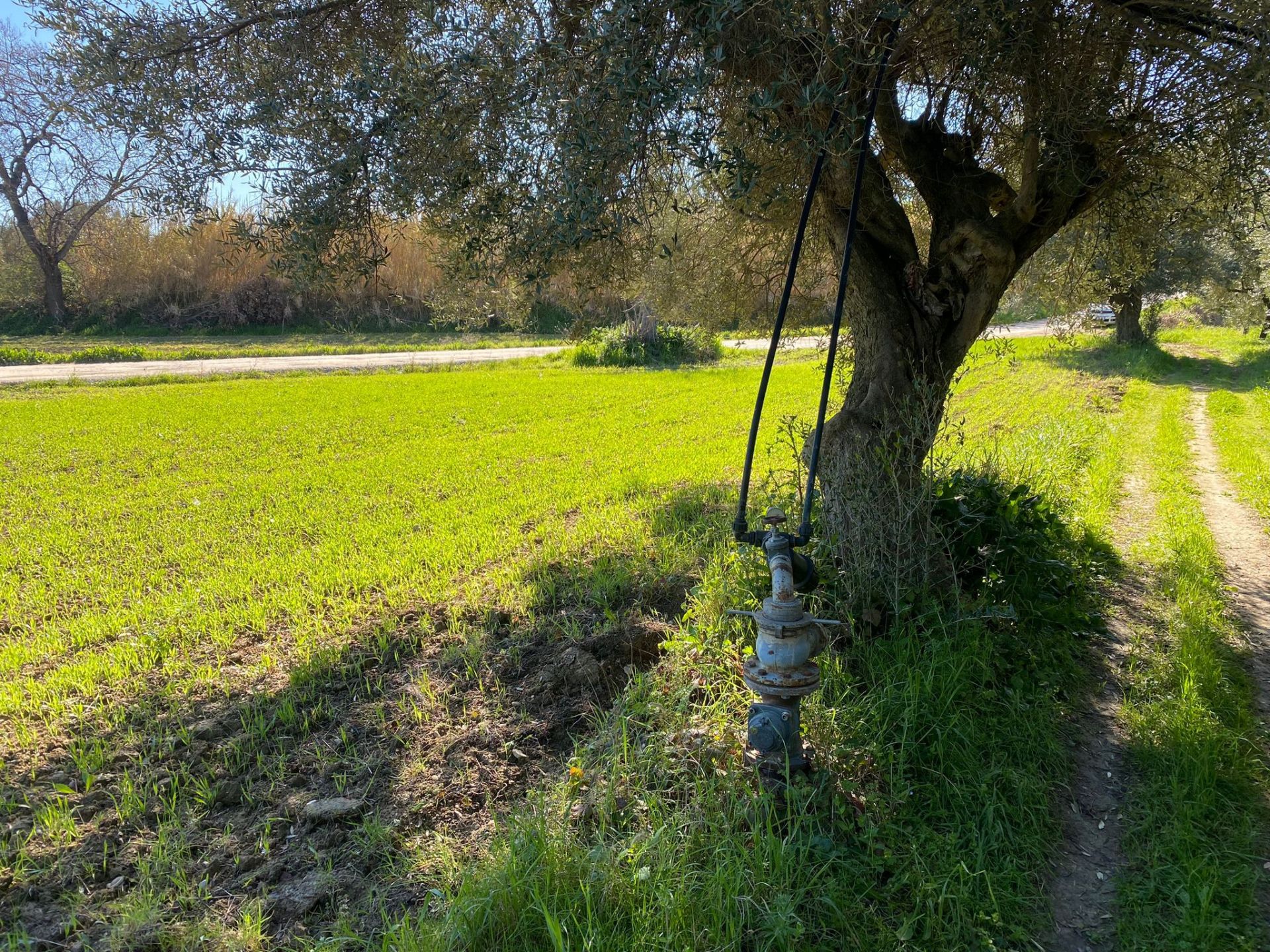 Terreno Agricolo Roseto degli Abruzzi 