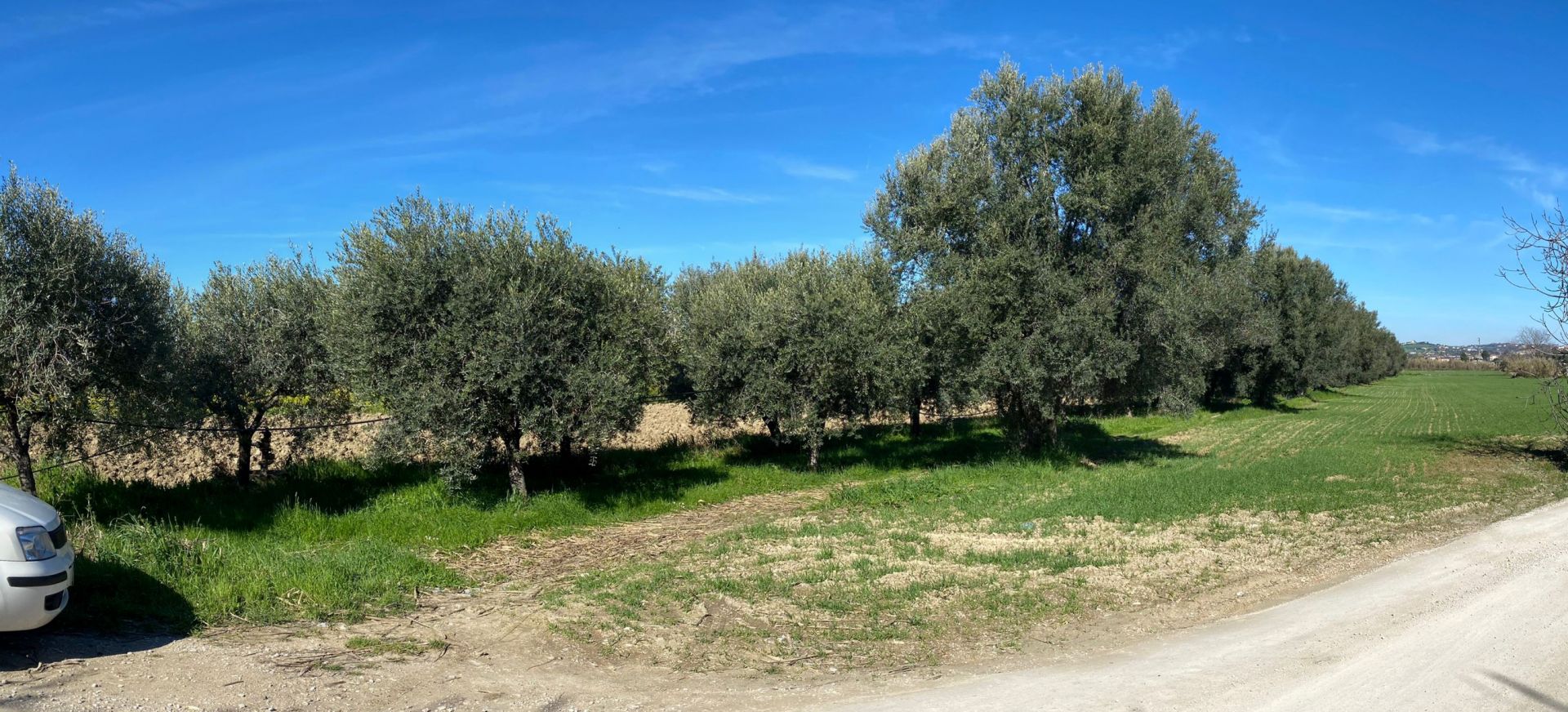 Terreno Agricolo Roseto degli Abruzzi 