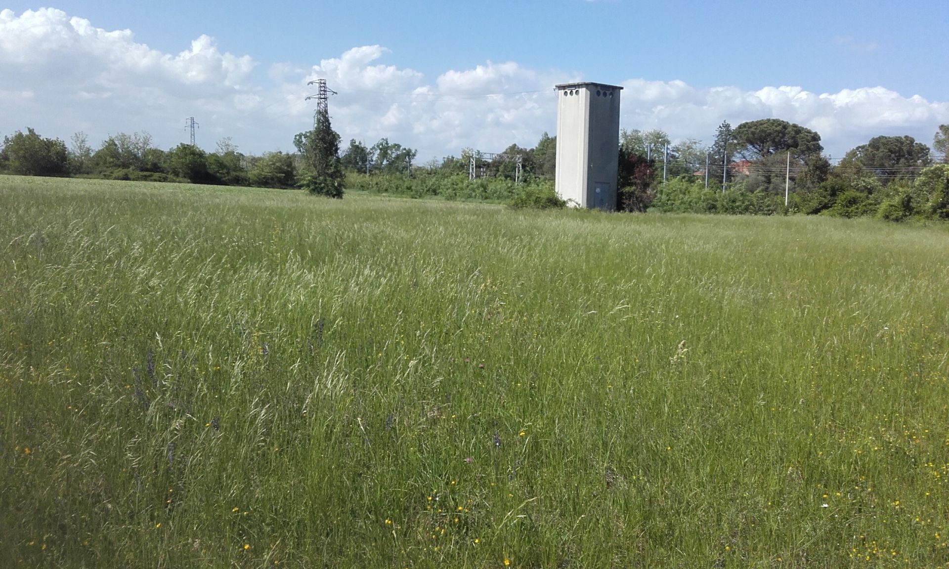 Terreno Agricolo San Giovanni al Natisone 