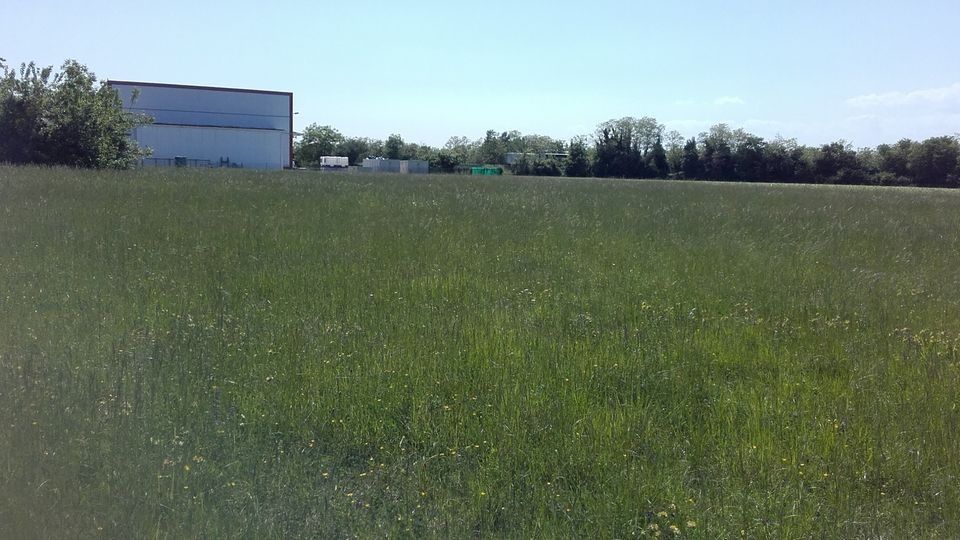 Terreno Agricolo San Giovanni al Natisone 