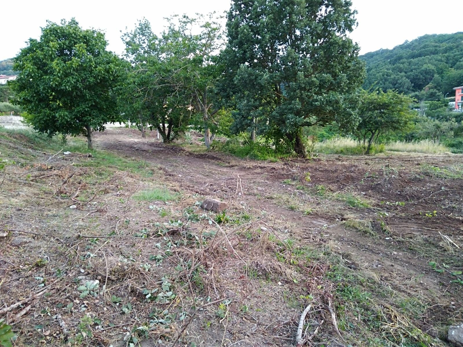 Terreno Residenziale in Vendita San Martino Sannita