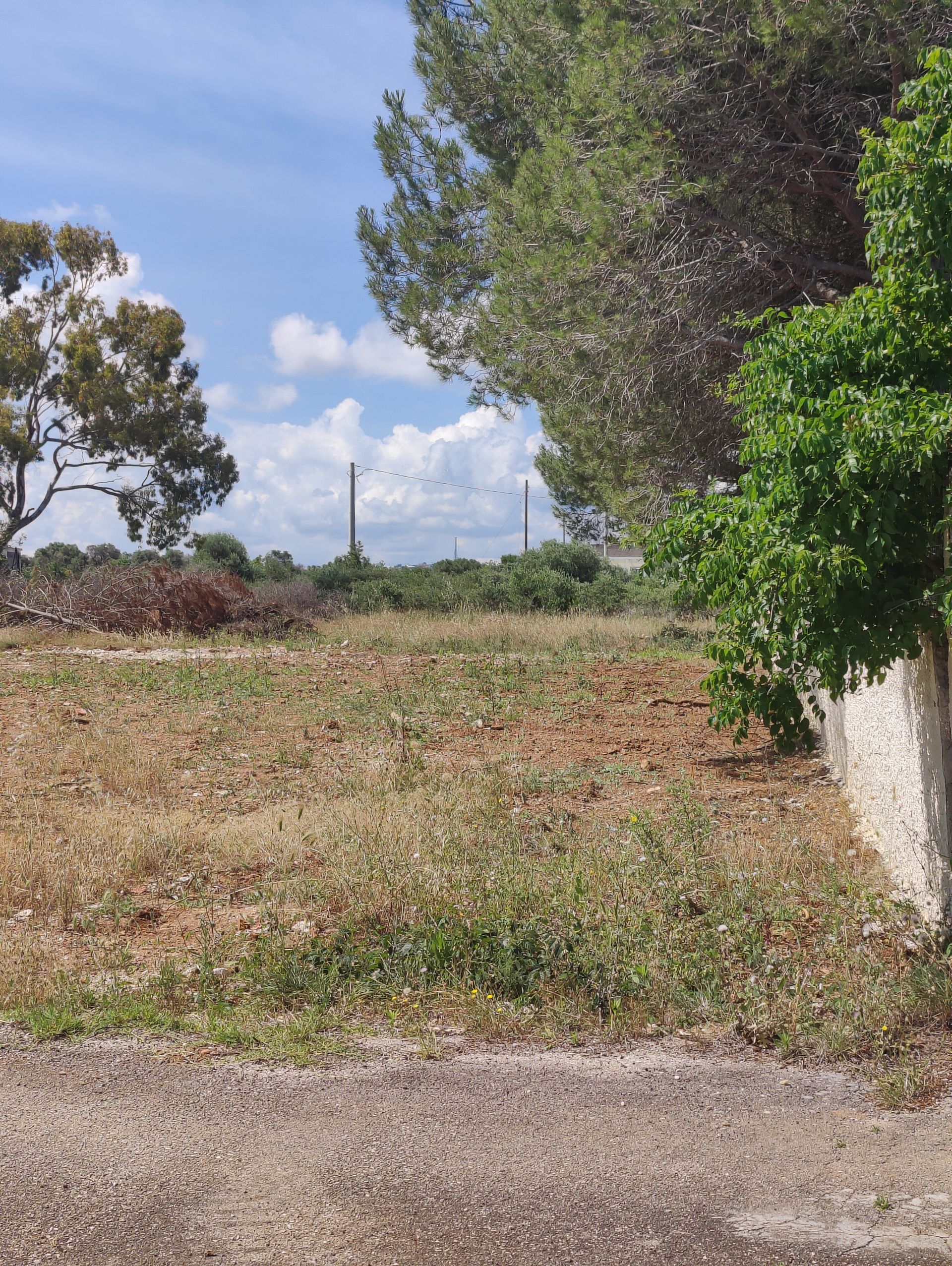 Vendita Terreno edificabile Ostuni