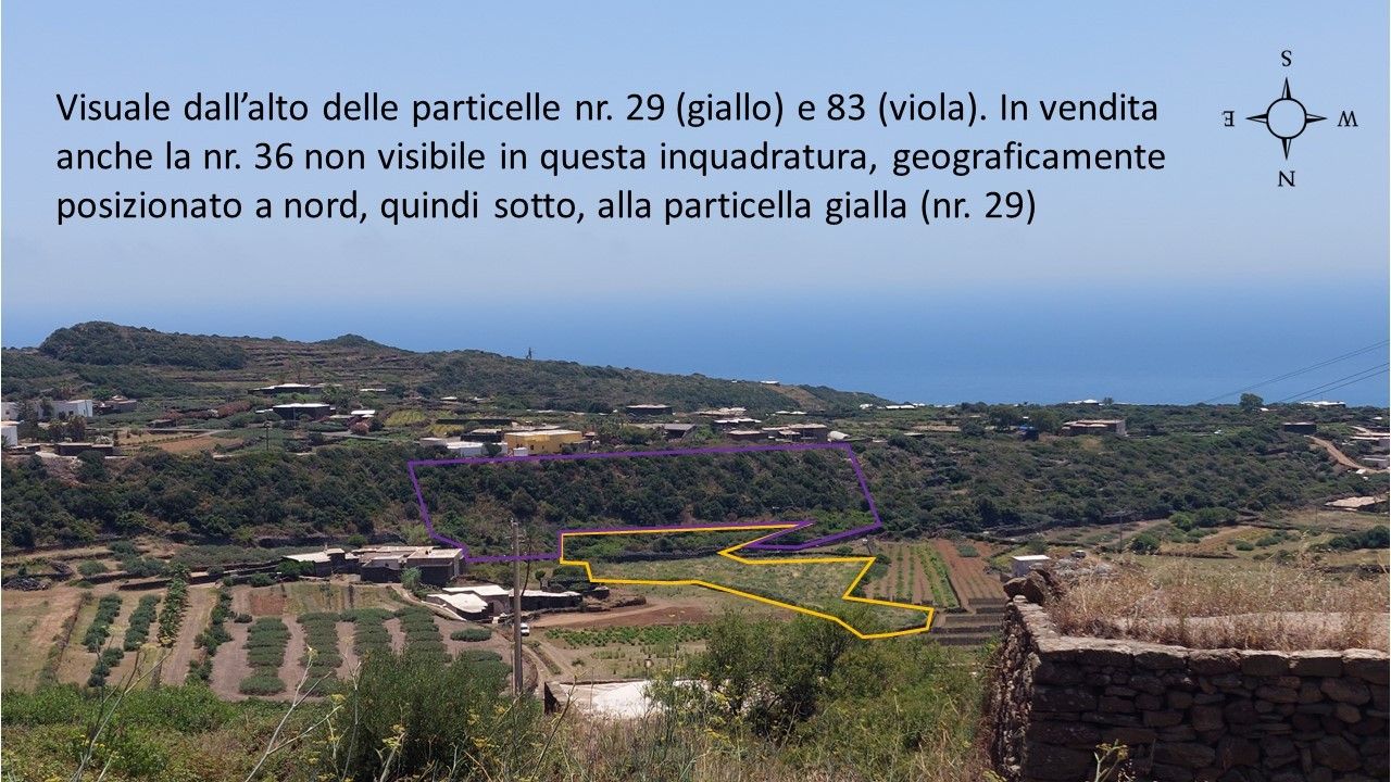 Terreno Agricolo Pantelleria 
