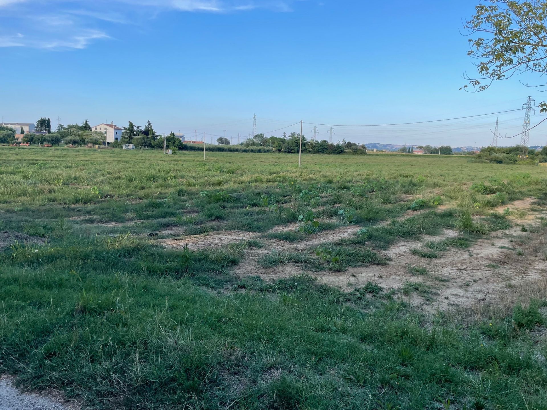 Terreno Agricolo Monte San Vito 