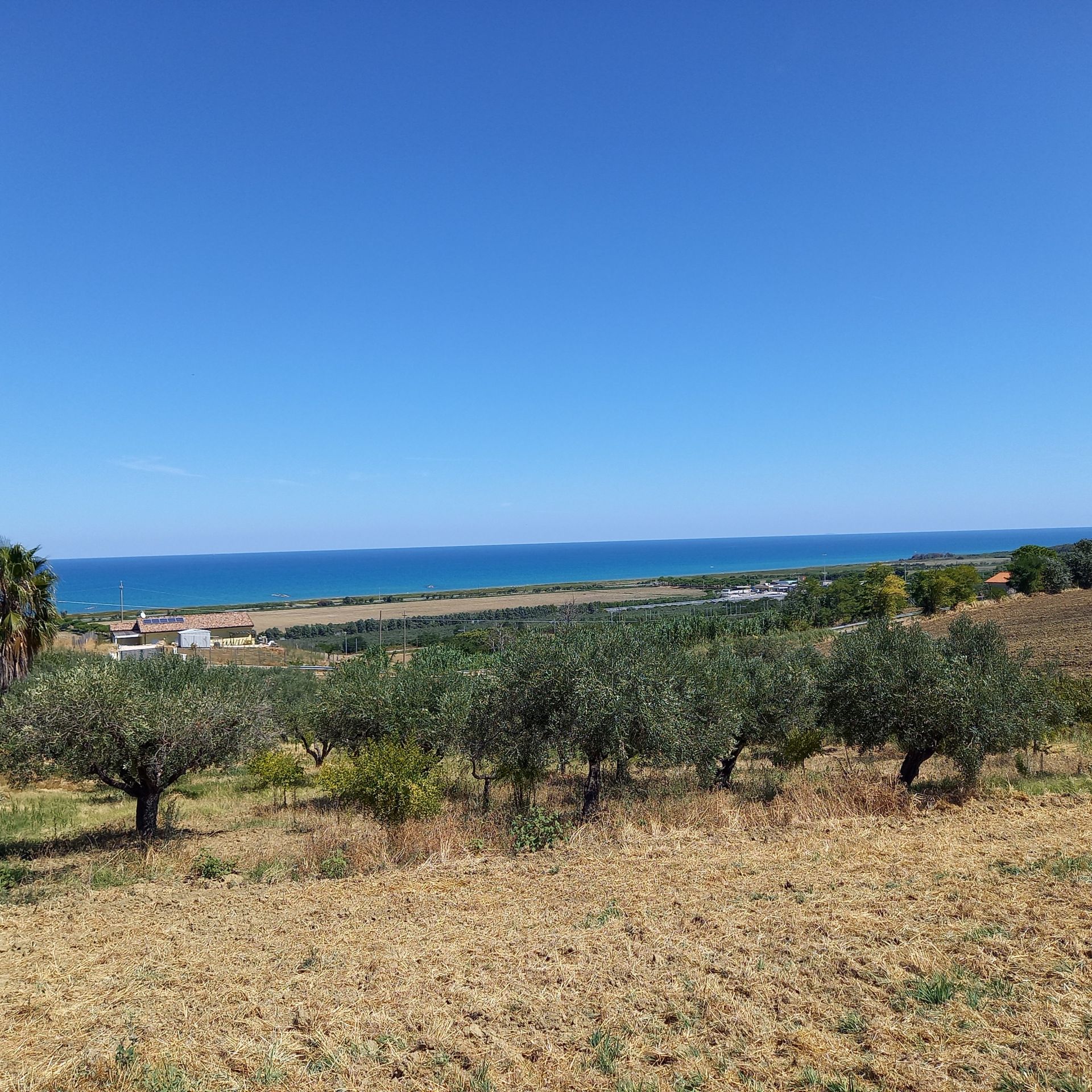 Terreno Residenziale Montenero di Bisaccia 