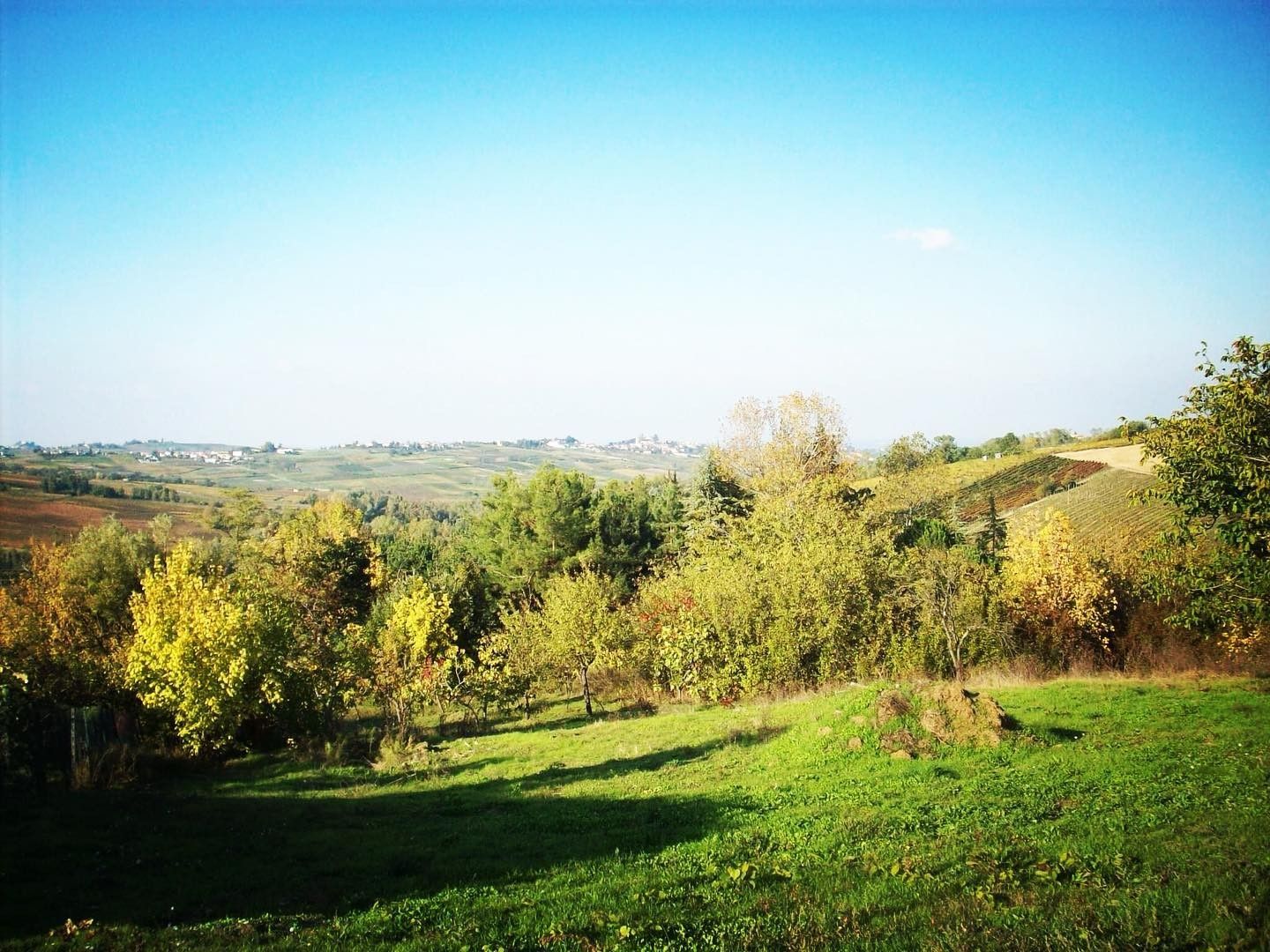 Terreno edificabile in Vendita Ziano Piacentino