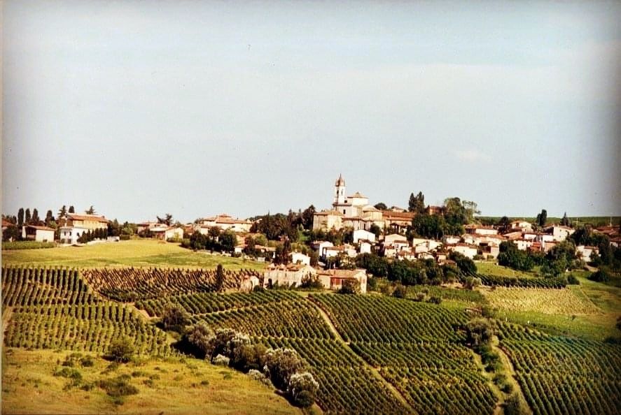 Vendita Terreno edificabile Ziano Piacentino