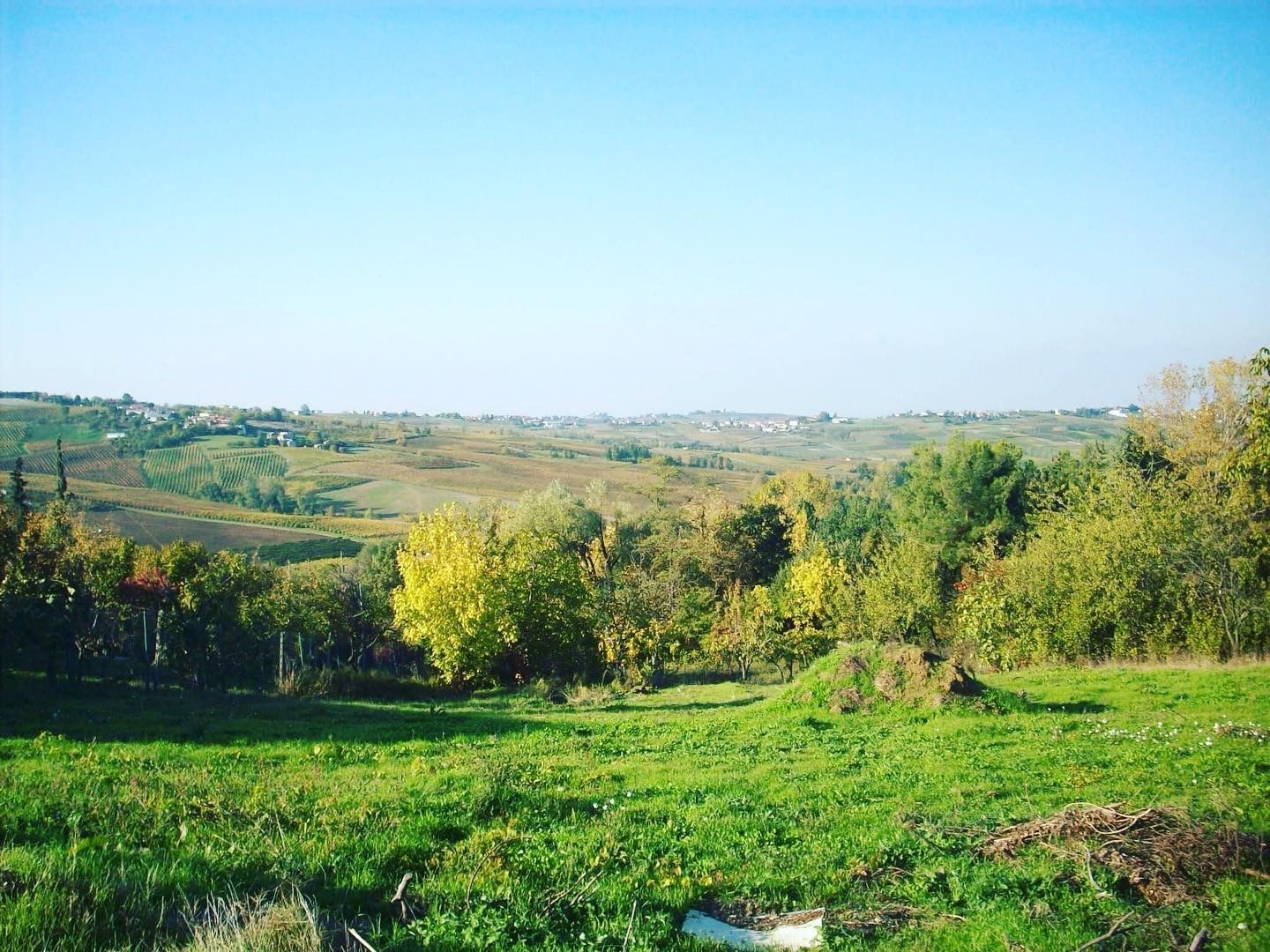 Vendita Terreno edificabile Ziano Piacentino