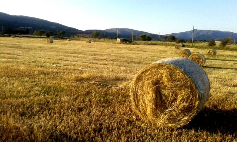 Terreno Agricolo Tula 