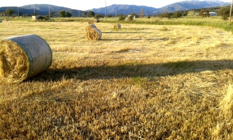 Terreno Agricolo Tula 