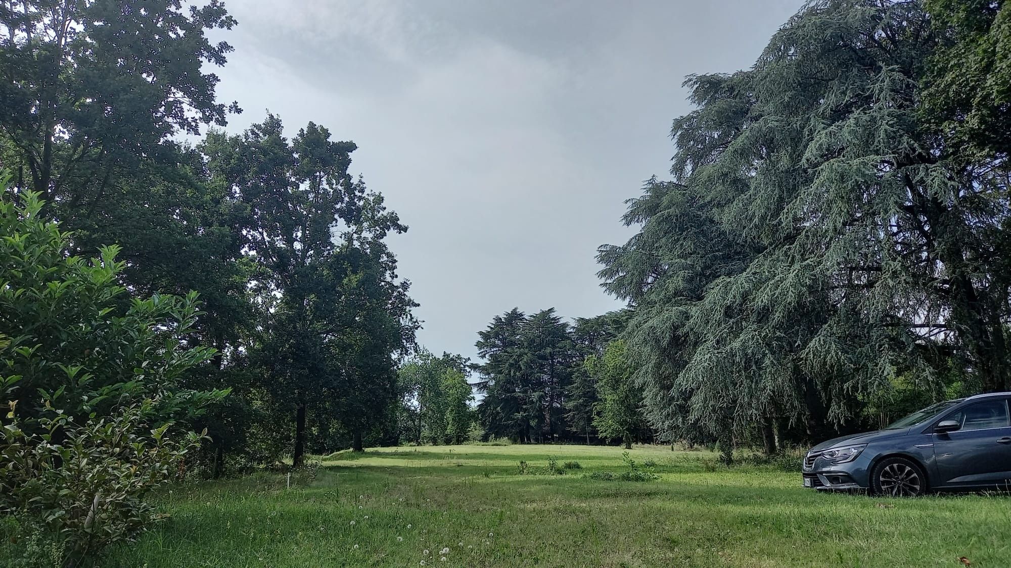 Terreno Agricolo Castellanza 