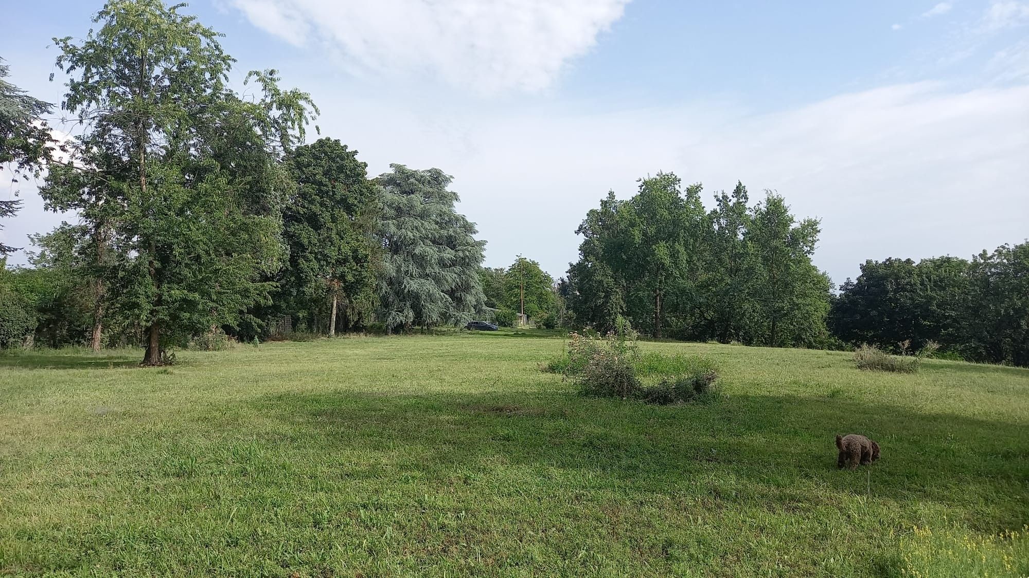 Terreno Agricolo Castellanza 