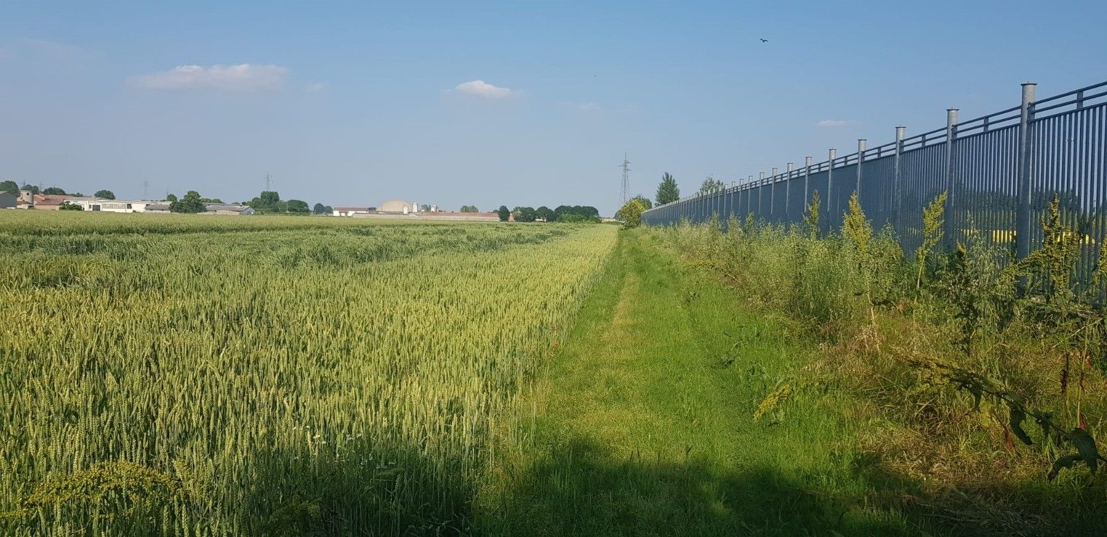 Terreno Agricolo Casalmaggiore 