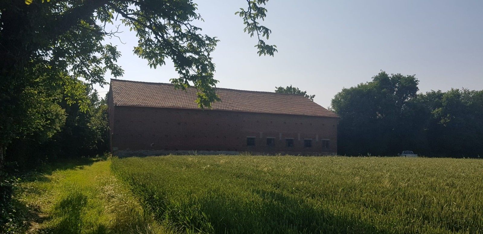 Terreno Agricolo Casalmaggiore 