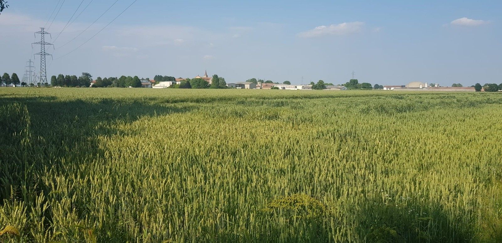 Terreno Agricolo Casalmaggiore 