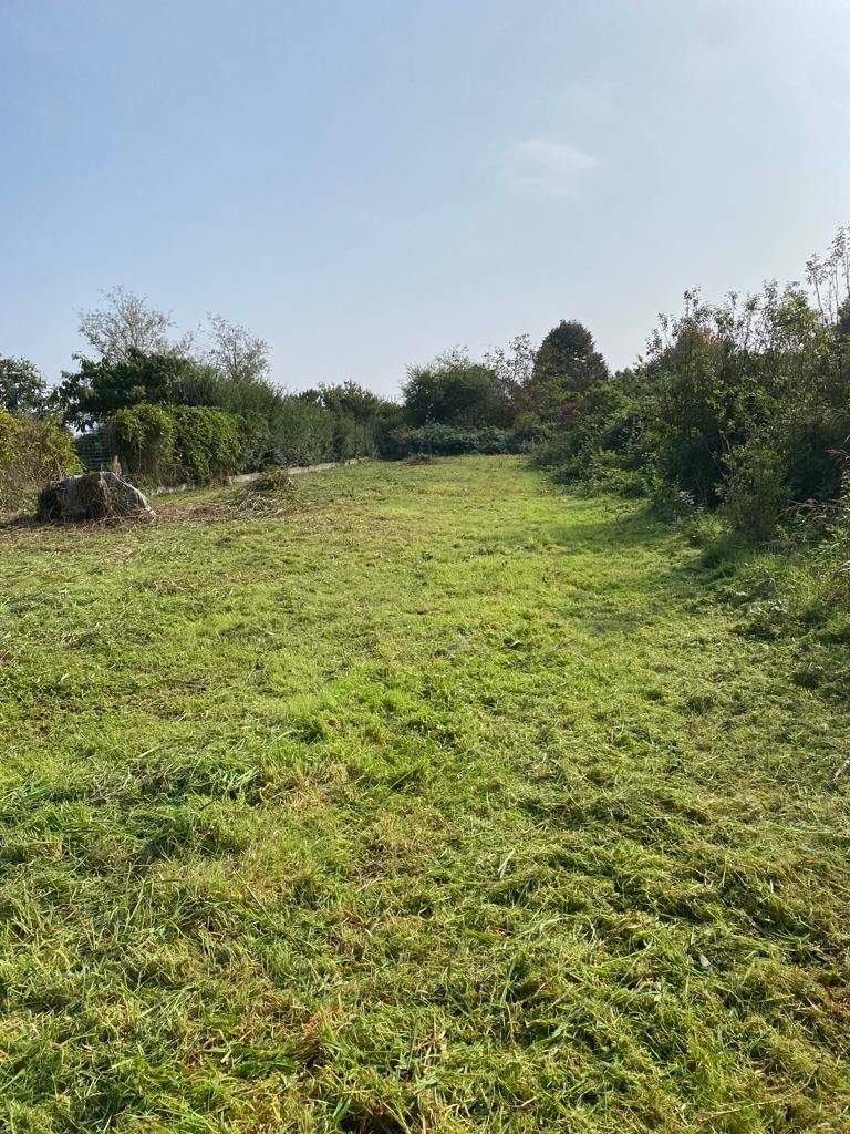 Terreno Agricolo in Vendita 