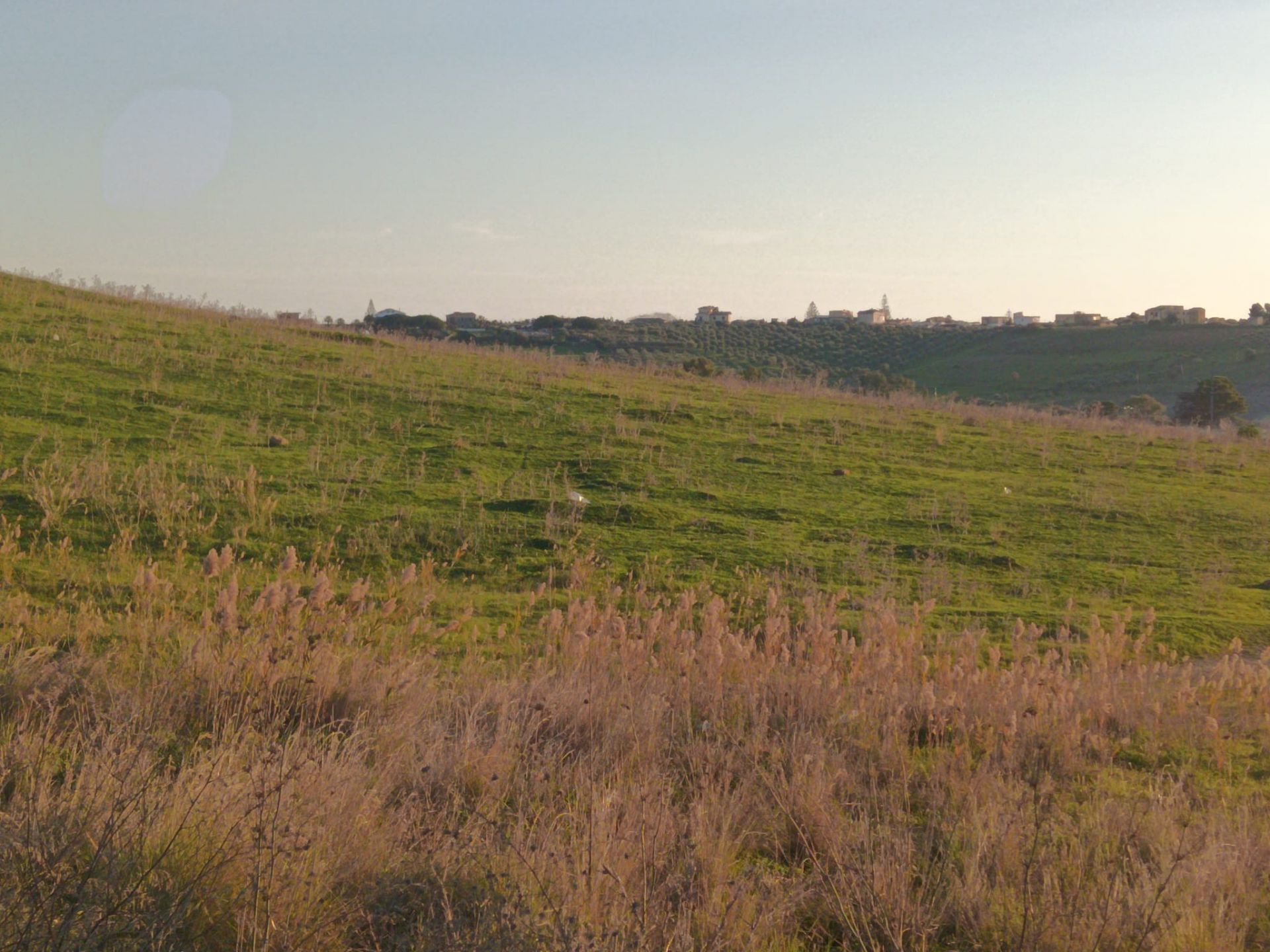 Terreno Agricolo Agrigento 