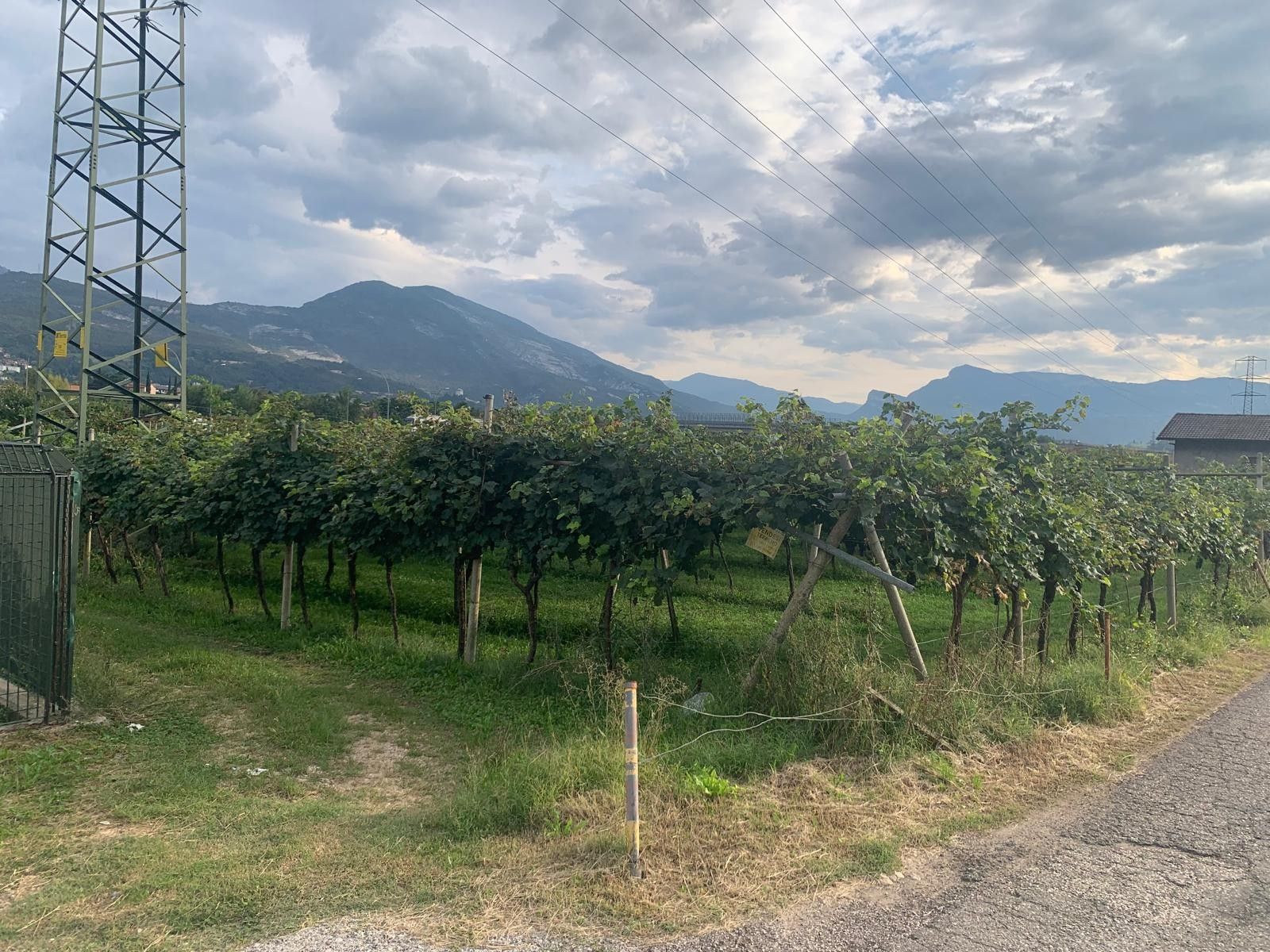 Terreno Agricolo Nogaredo 
