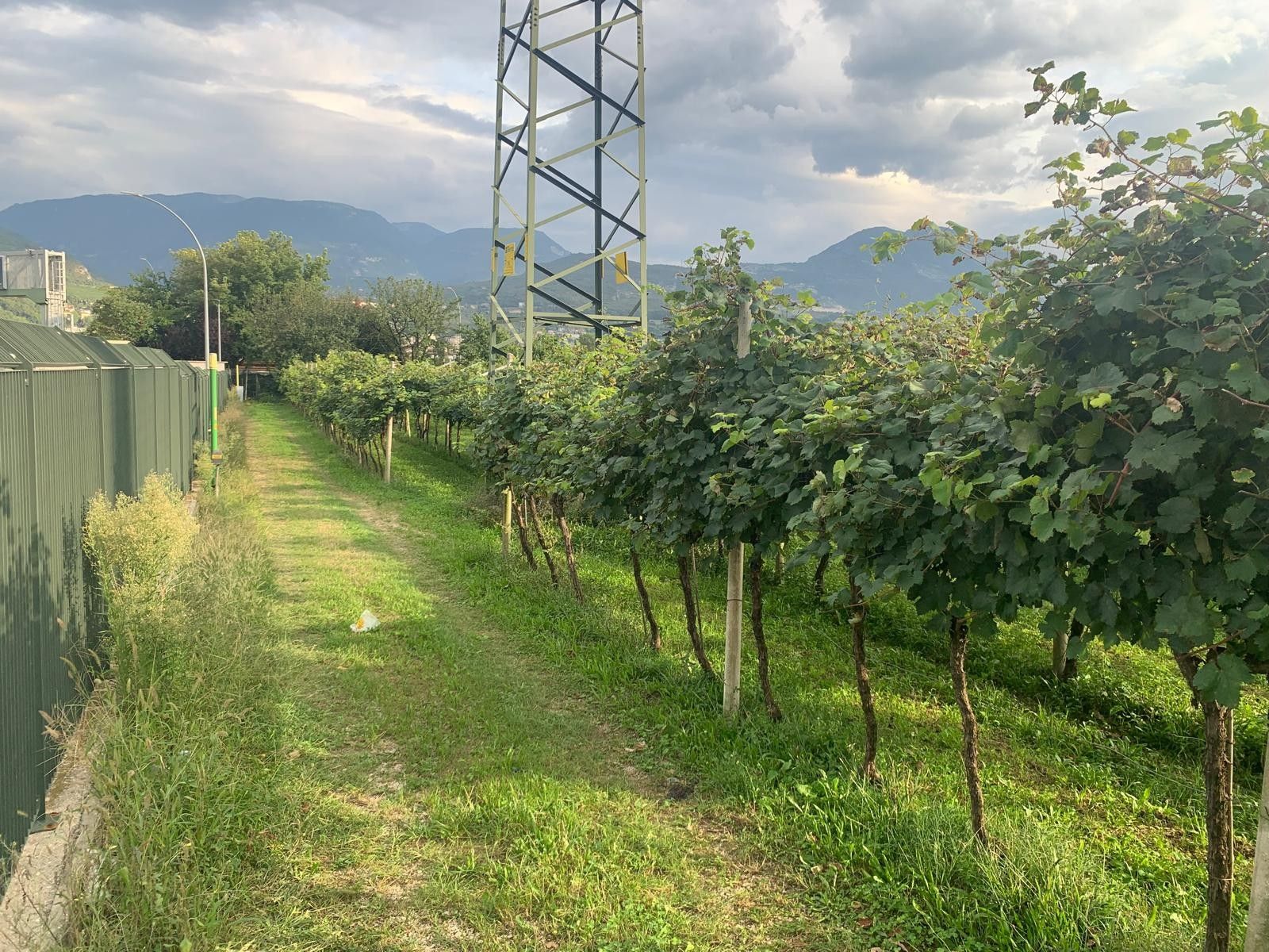 Terreno Agricolo Nogaredo 
